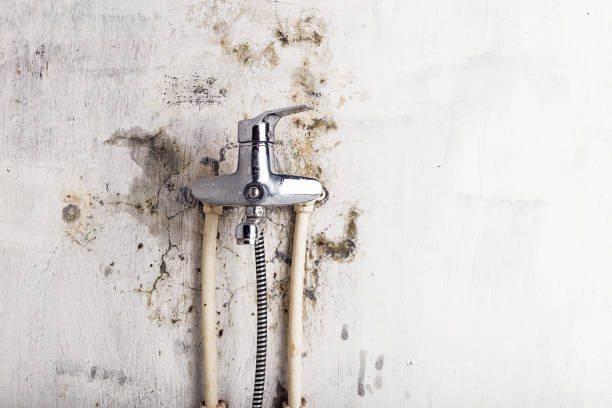 Best Mold Testing  in Oroville East, CA
