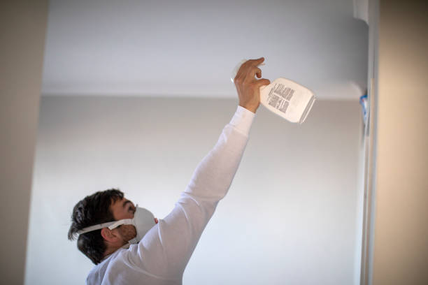 Oroville East, CA Mold Removal Company