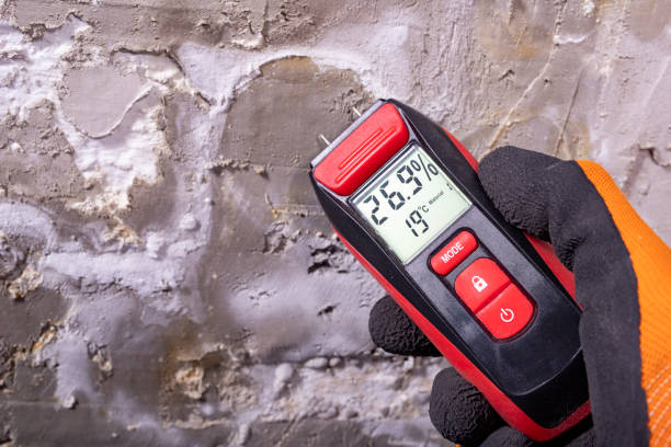 Best Mold Damage Repair  in Oroville East, CA