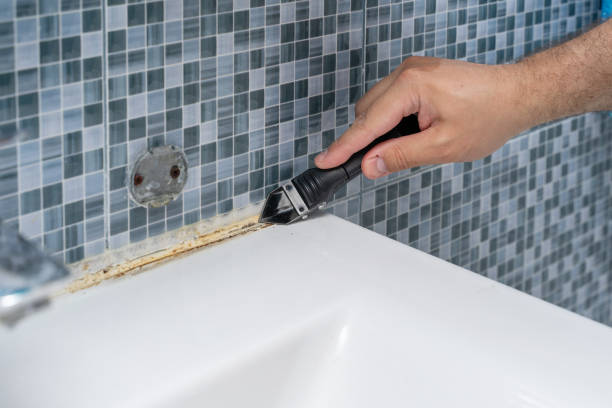 Best Professional Mold Removal  in Oroville East, CA
